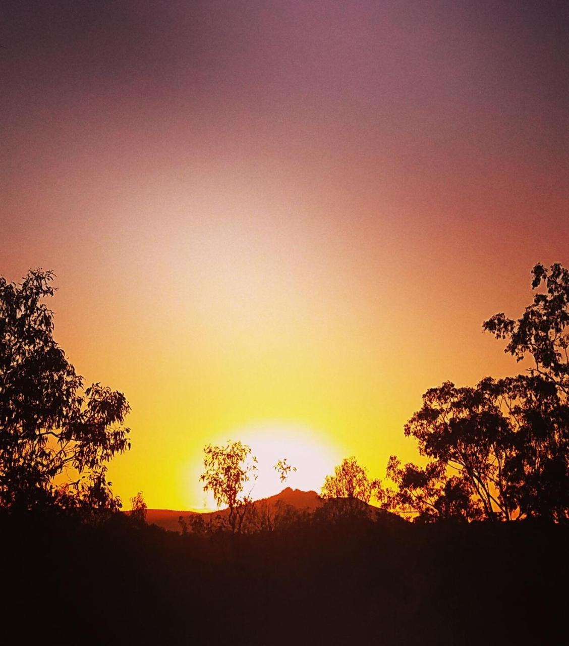 Mt Larcom Tourist Park Hotell Mount Larcom Eksteriør bilde
