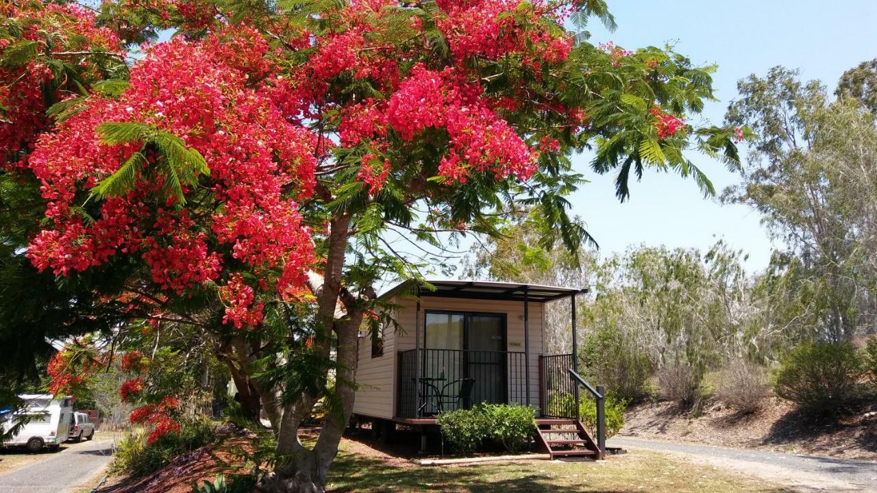 Mt Larcom Tourist Park Hotell Mount Larcom Eksteriør bilde