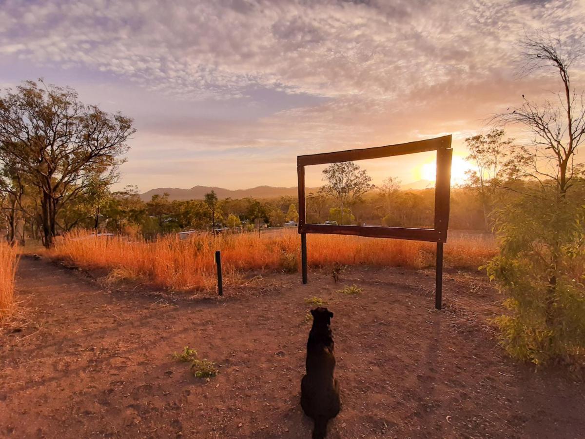 Mt Larcom Tourist Park Hotell Mount Larcom Eksteriør bilde