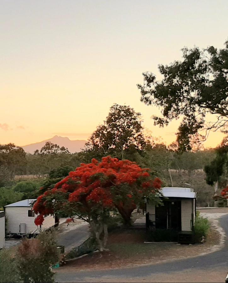 Mt Larcom Tourist Park Hotell Mount Larcom Eksteriør bilde